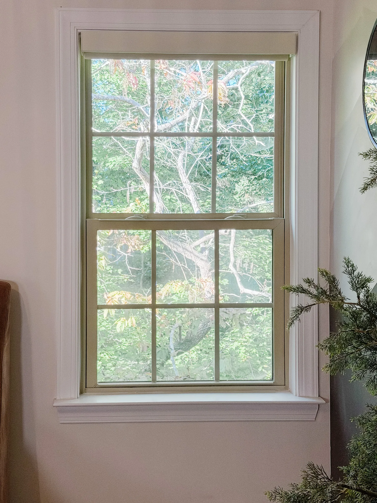 A Freshine roller shade fully raised above a white-trimmed bedroom window