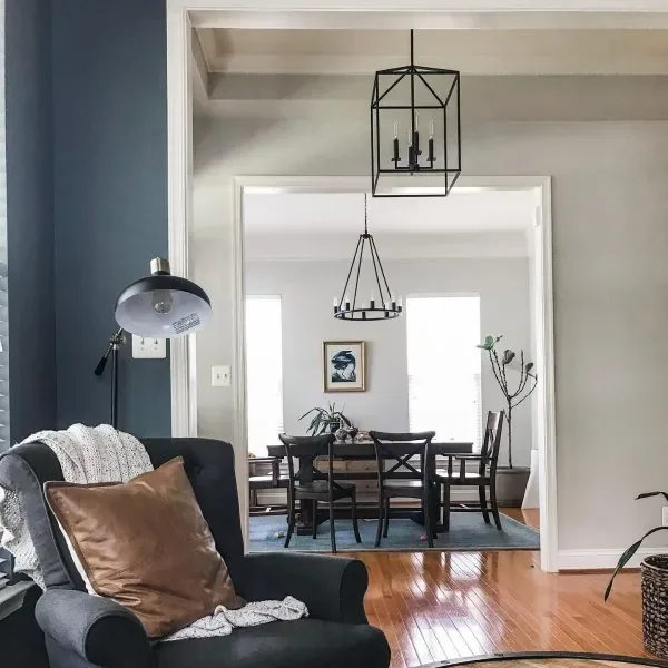 Sherwin Williams Agreeable Gray