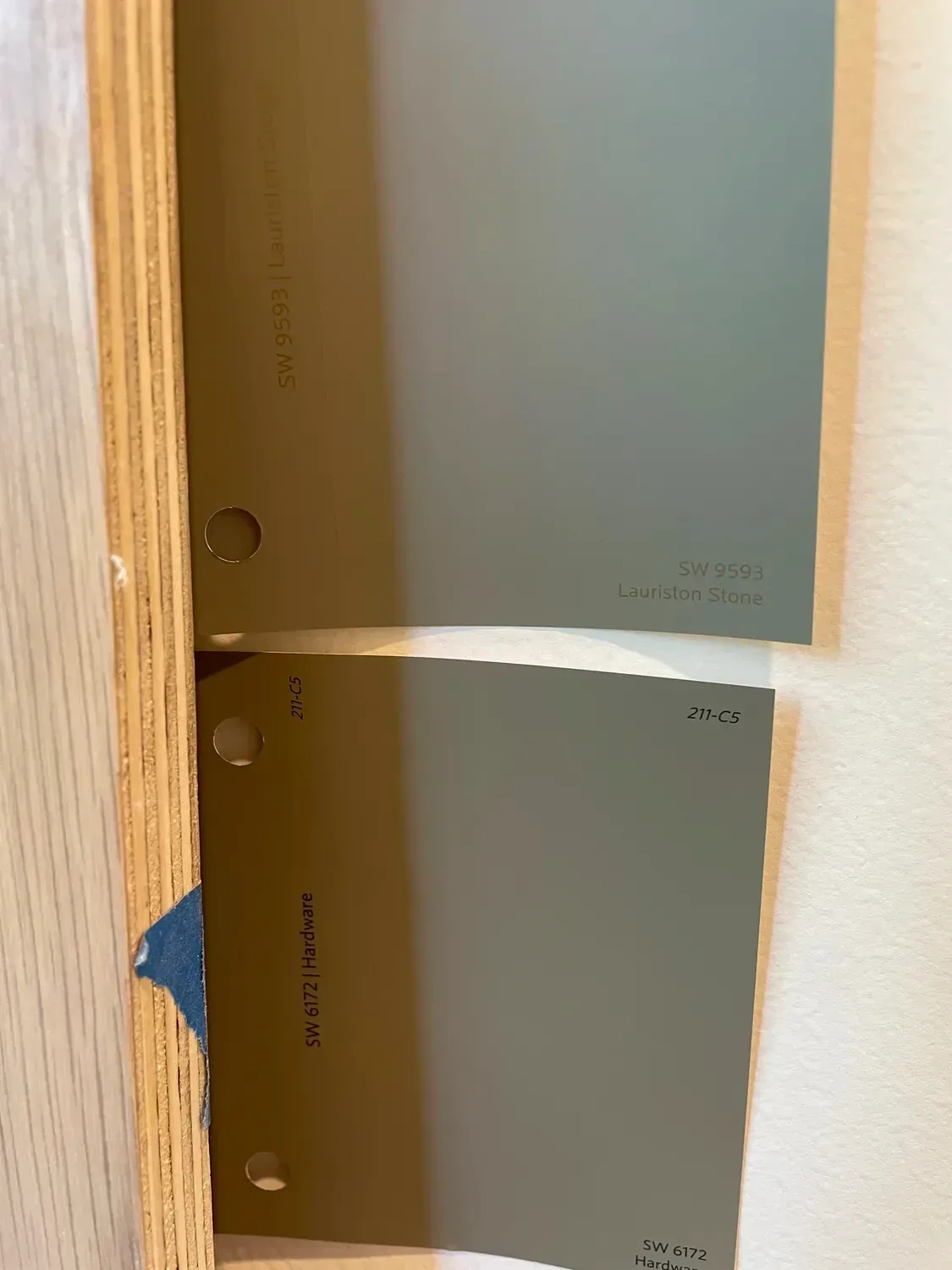 dark green paint moody office