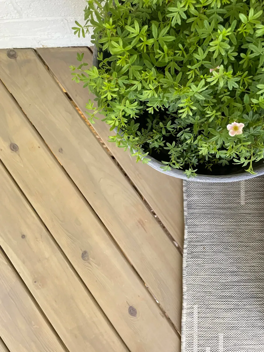 stained wood deck