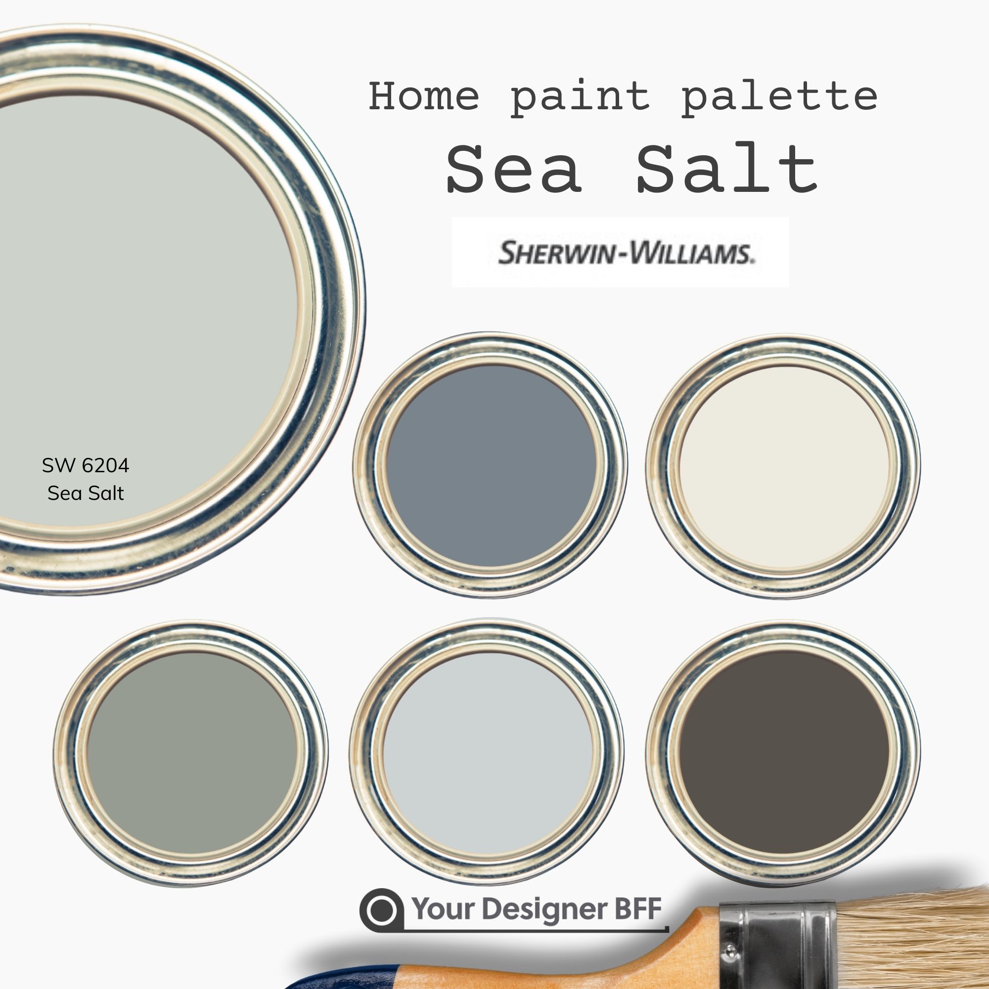 In focus sea salt sherwin williams your designer bff
