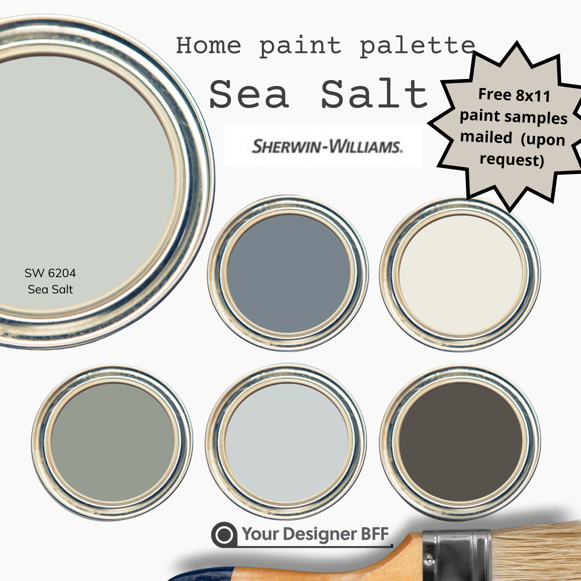 Sea Salt Sherwin Williams SW 6204